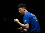 九游娱乐-德国乒乓球队强势波兰乒乓球队，马龙惊艳世界的简单介绍