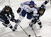 九游体育平台-西决生死战之夜，福克斯彻底打爆防线，书写个人传奇