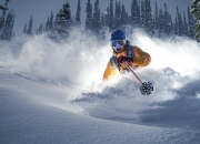 九游体育APP下载-赛道风云，红牛二队轻取威廉姆斯，汉密尔顿统治全场