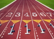 九游娱乐首页-温网精神与联合杯激情的完美融合，阿尔卡拉斯如何以横扫之姿统治全场