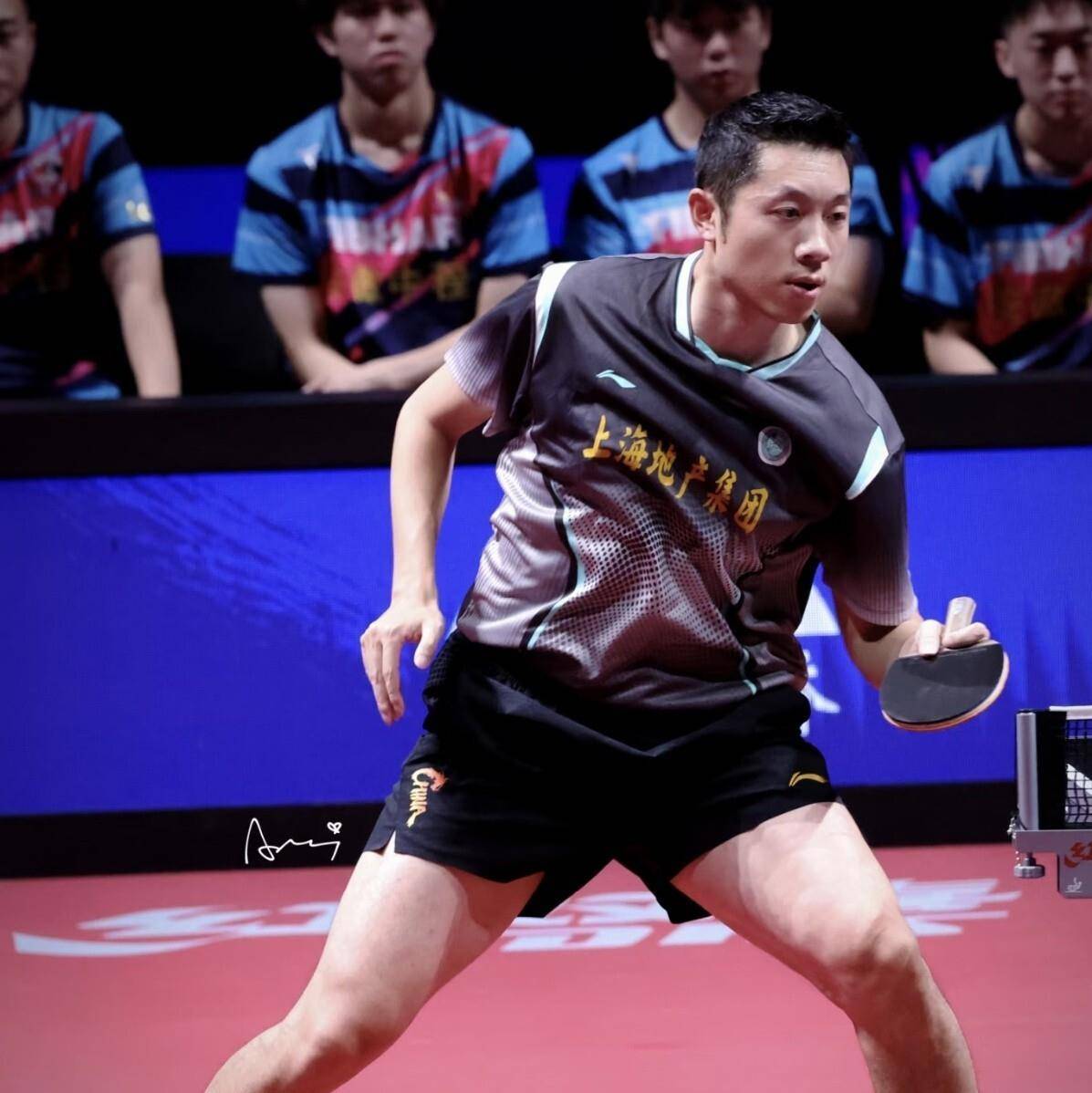 比利时乒乓球队险胜法国乒乓球队，许昕关键制胜的简单介绍