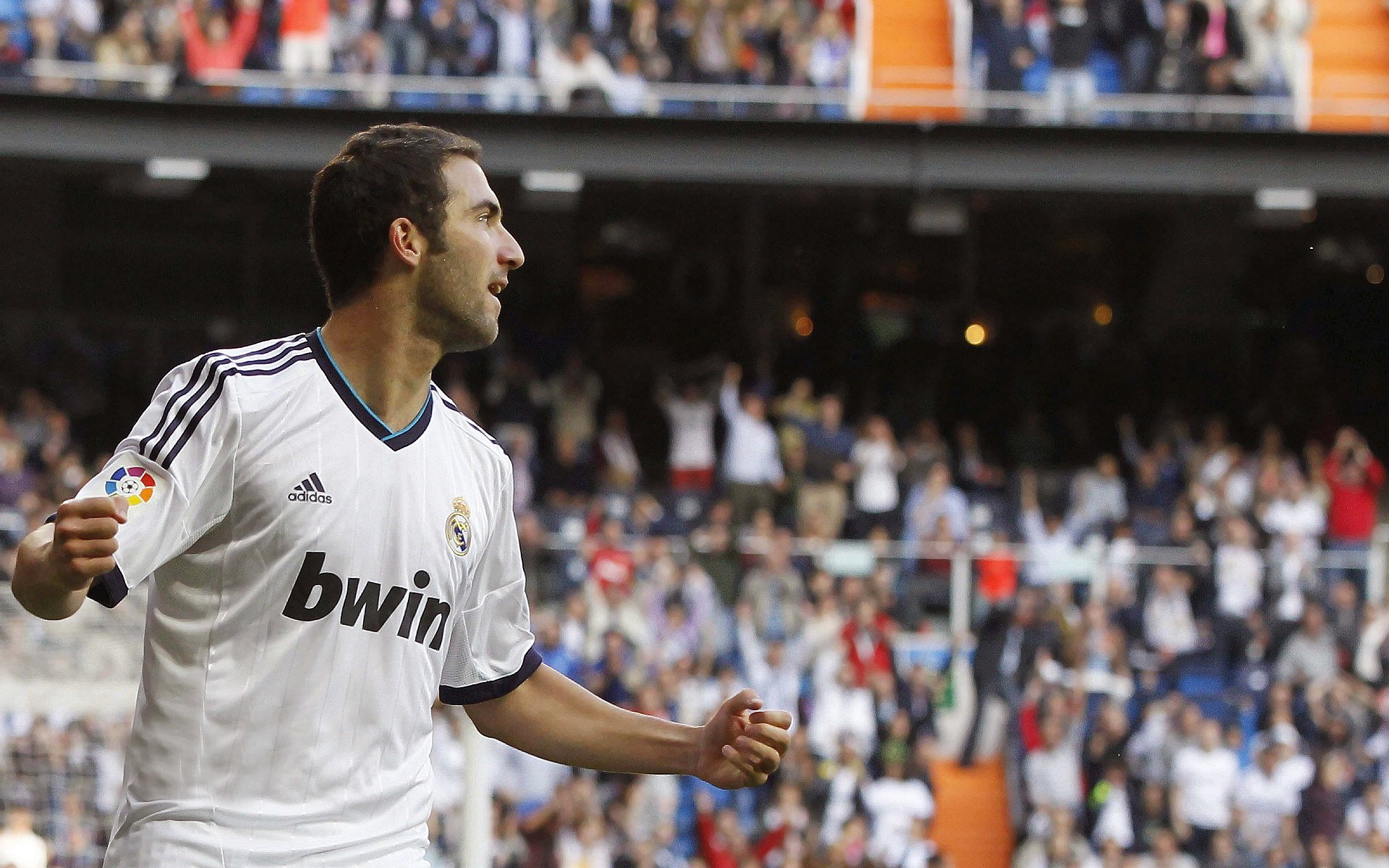 赛道上的新秩序，红牛车队完胜威廉姆斯，拉塞尔惊艳四座